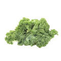 Top Food Grade Organic Kale Powder for Snacks and Weight Control